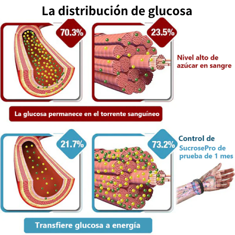 Especial de Tiempo Limitado🔥Muñequera de Desintoxicación por Ultrasonidos e Infrarrojos Lejanos para Equilibrar el Azúcar en la Sangre - Equilibrio Energético🔥