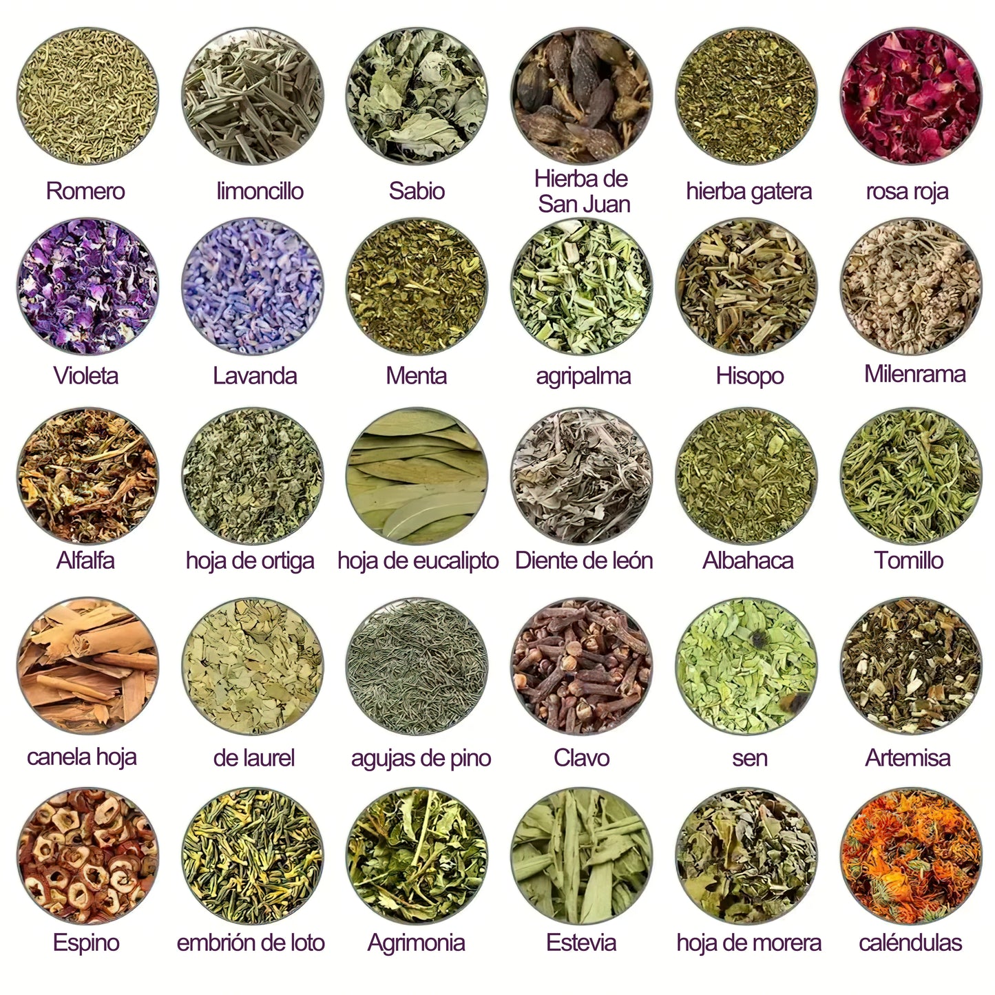 Último día con 70 % de descuento: Tnnedey® veneno de abeja y 30 perlas de baño de pies desintoxicantes a base de hierbas para esculpir el cuerpo - Recomendado por la Academia Linfática Mexicana (AML) 🌿