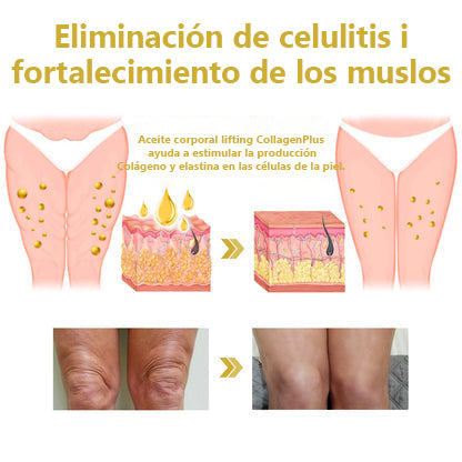 Descuento de último día: 80% DE DESCUENTO🌿LEFUN® Advanced Firming & Wrinkle-Reducing Cream: Restaura la Elasticidad de la Piel🌿