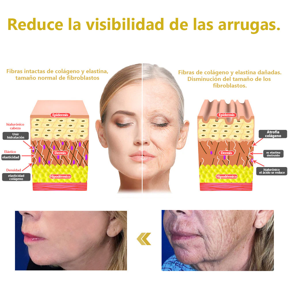 Descuento de último día: 80% DE DESCUENTO🌿LEFUN® Advanced Firming & Wrinkle-Reducing Cream: Restaura la Elasticidad de la Piel🌿