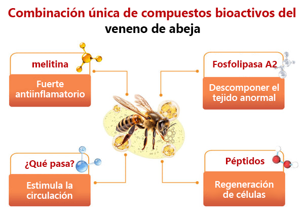 Turonu™ Bee Venom All-in-One Cream🎁Tiempo limitado 80% de descuento⏱️